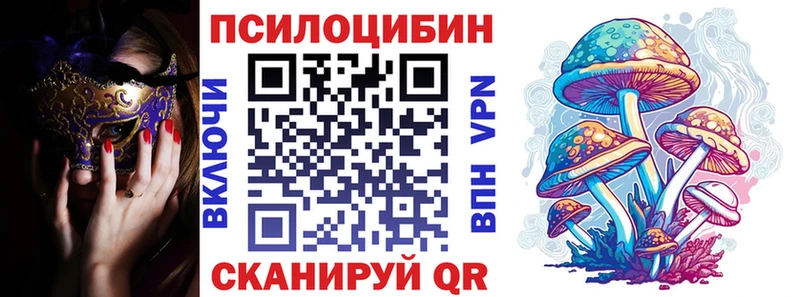 хочу наркоту  Шумиха  Галлюциногенные грибы Cubensis 