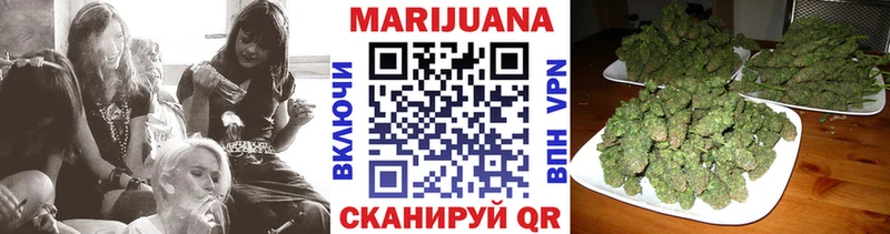 Конопля сатива  купить закладку  Шумиха 
